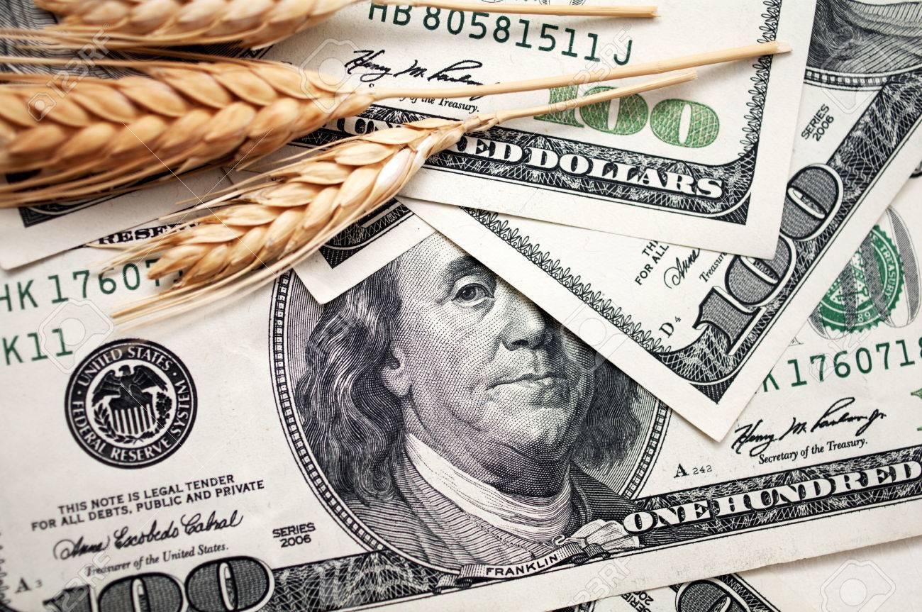 El precio del trigo acumula un incremento de más del 25% desde que inció la guerra