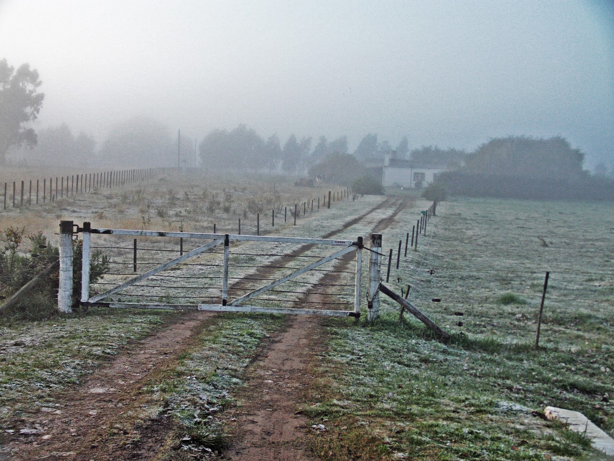 Sorpresiva helada en campos de la zona de Tandil