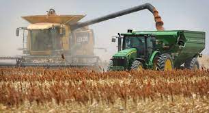 Con bajos rindes comenzó la cosecha de sorgo