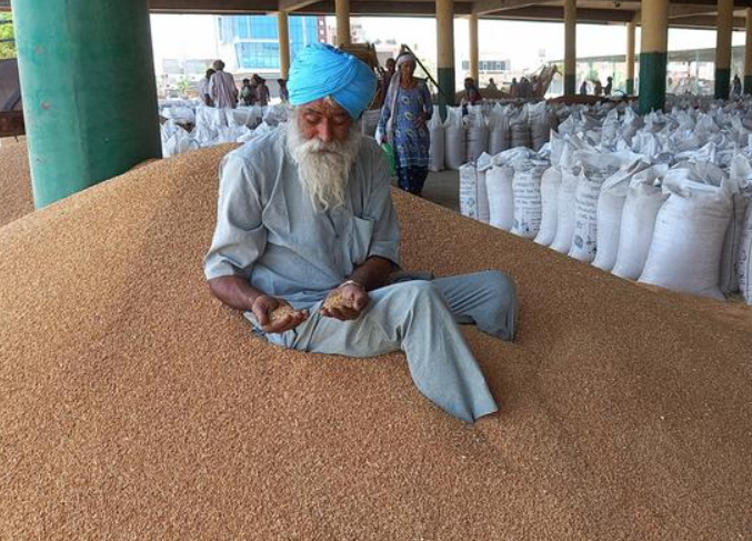 «Es impactante»: India prohibió la exportación de trigo y el mercado reacciona con fuertes subas