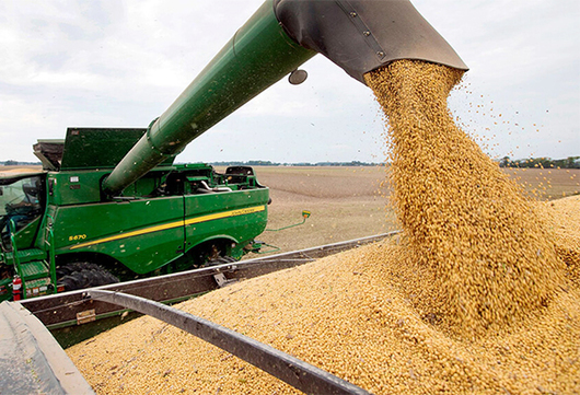 La cosecha de soja finalizará la semana que viene