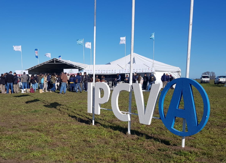 En Tres Arroyos Se llevó a cabo la jornada a campo del IPCVA