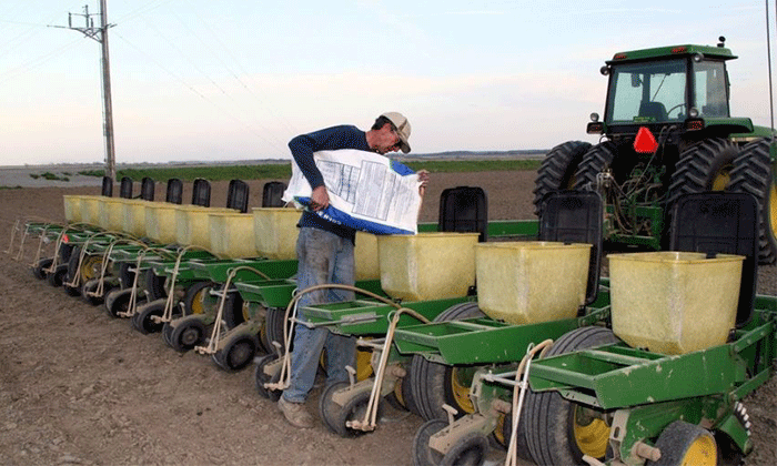 Por la falta de humedad cae la proyección de superficie para el trigo