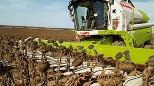 Las exportaciones de productos oleaginosos, por la curva descendente