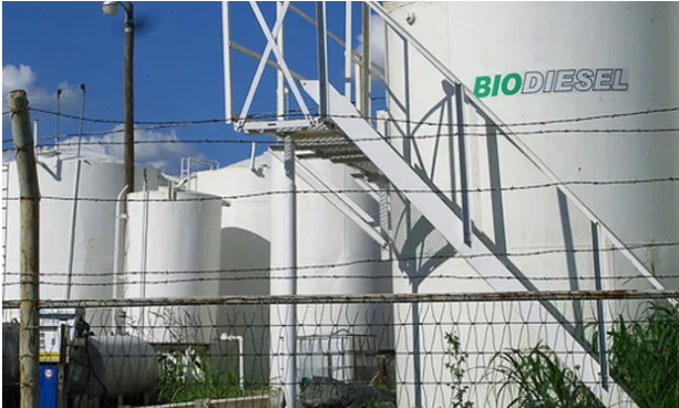 El corte de biodiésel en Gasoil pasa al 12,5%: qué dice la medida de Economía