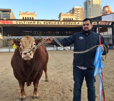 Nicanor, el toro argentino que desde hace dos años es el mejor del mundo