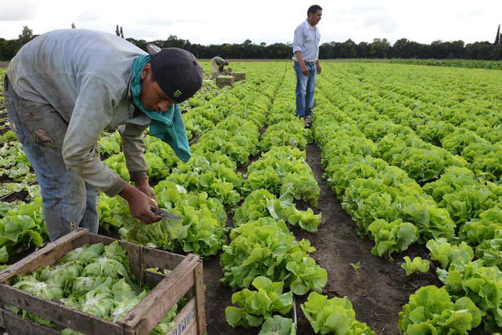 El gremio de los trabajadores de campo cerró una de las paritarias más altas
