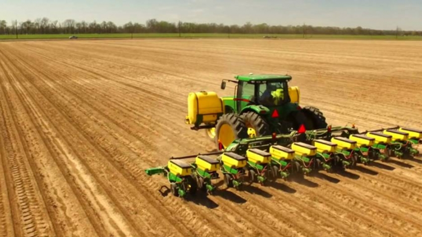 El área sembrada con soja crecerá 700.000 hectáreas