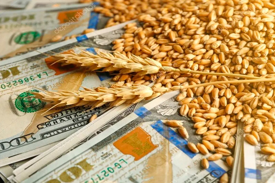 El precio del trigo registra fuertes bajas y se espera una decisión clave de Estados Unidos