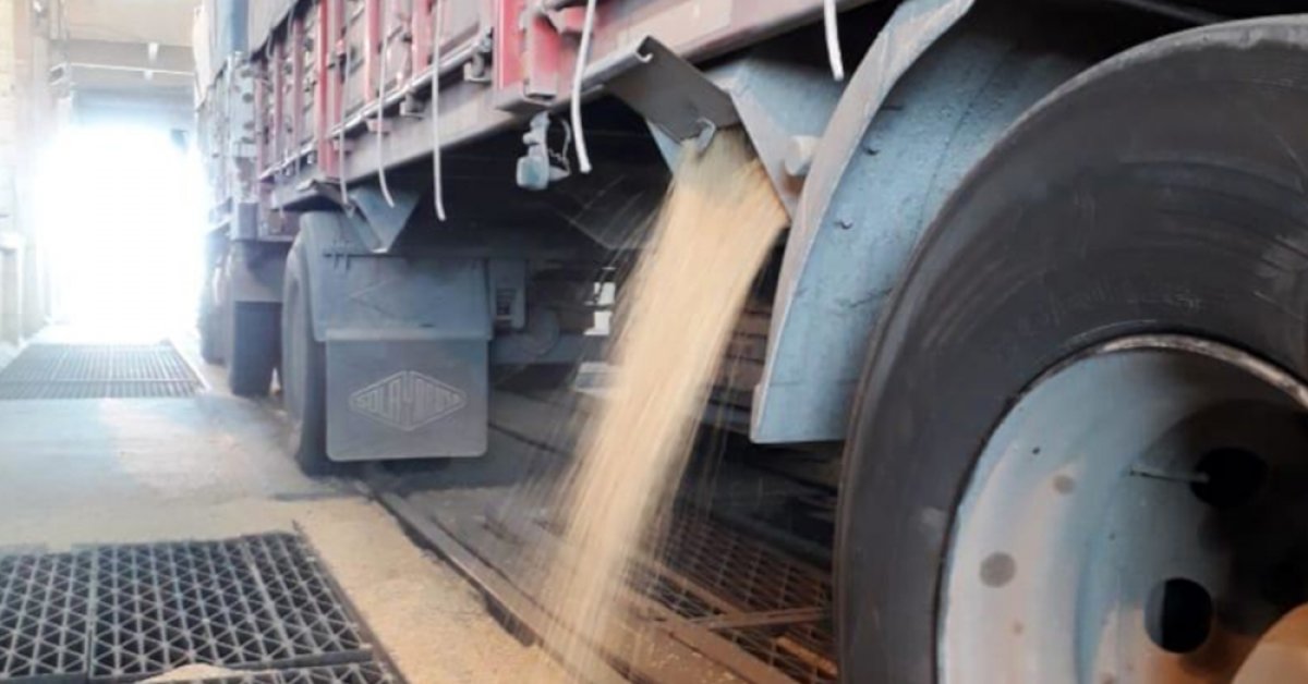 La liquidación del “dólar soja” incrementó en un 67 por ciento el transporte de cargas