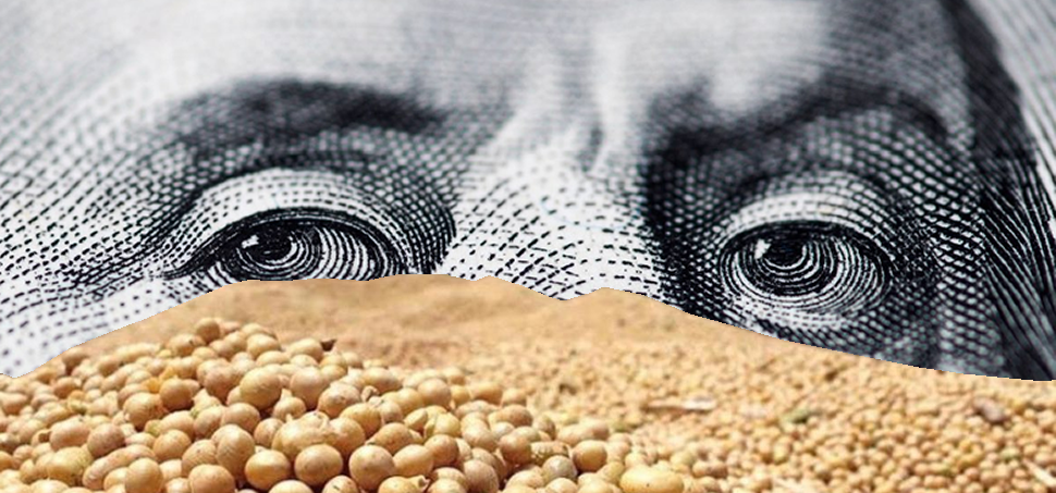 El dólar soja llegó a Chicago: hubo fuertes bajas ante la repentina mejora de competitividad de la Argentina