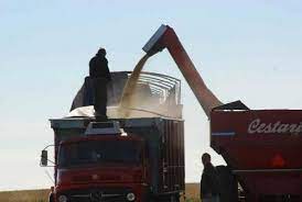 El Gobierno oficializó el dólar soja: los detalles del decreto