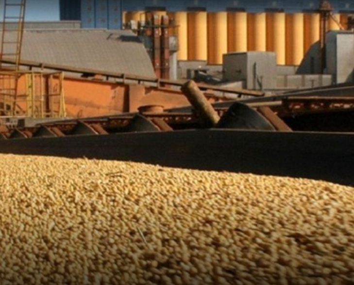 Con menor dinámica comercial y cotizaciones entre estables y bajistas, cerró la semana en Rosario