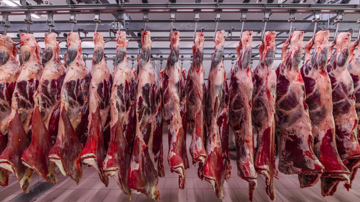 El Gobierno ratificó el inicio del troceo de carne y fijó sanciones para quienes no cumplan