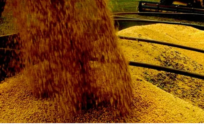 En lo que va del siglo el agro aportó US$ 762.000 millones a la economía argentina