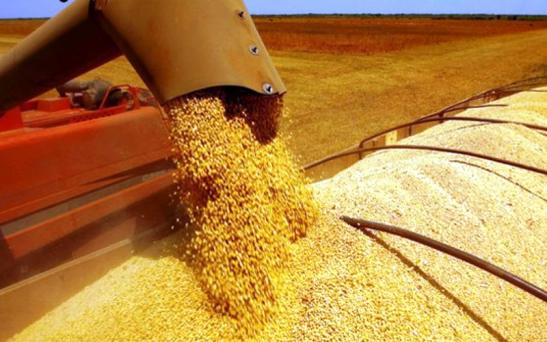 Las buenas perspectivas comerciales apuntalan los precios de la soja, trigo y maíz en Chicago