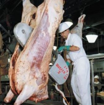 Polémica por el final de la media res: frigoríficos piden una postergación por créditos que nunca llegaron