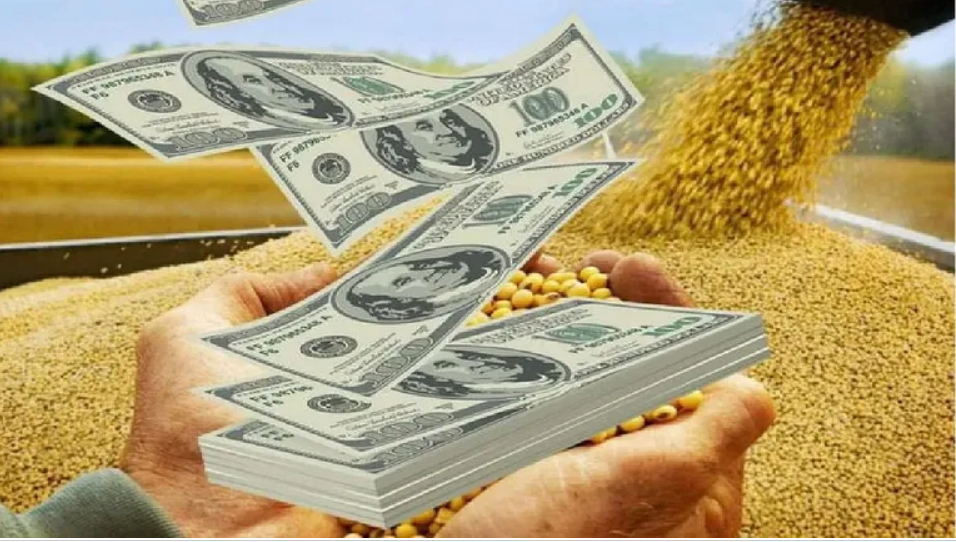 Entidades rurales rechazaron el nuevo dólar soja