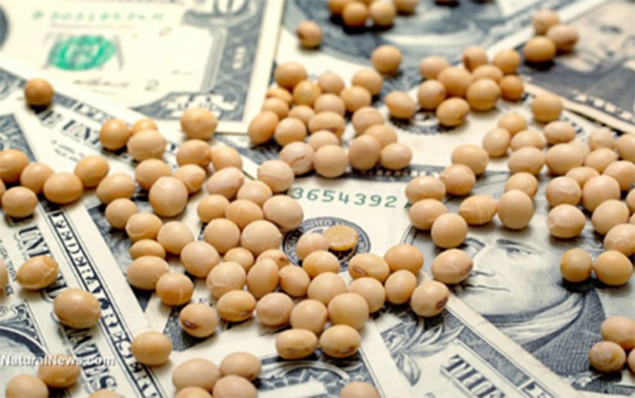 ¿Vuelve el dólar soja?