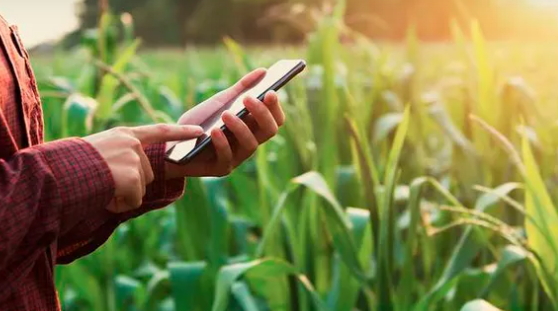 Por la baja de los insumos, mejoró el poder de compra de la soja, el trigo y el maíz