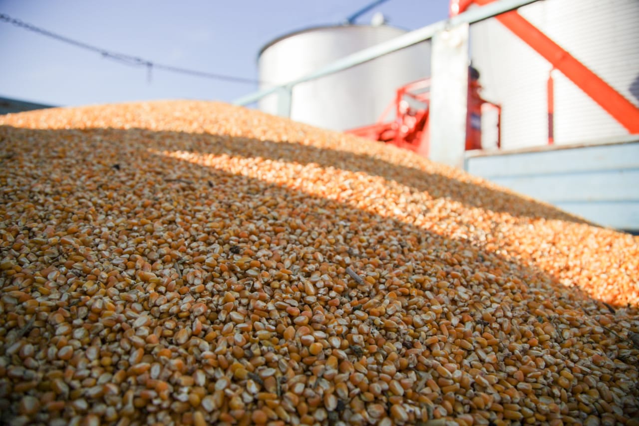 El agro batió un récord histórico en 2022: ingresó US$ 35.034 millones en 10 meses