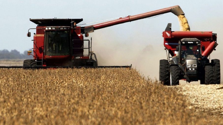 El trigo alcanzó el rendimiento más bajo desde 2010 y la producción se estima en 11,5 millones de toneladas