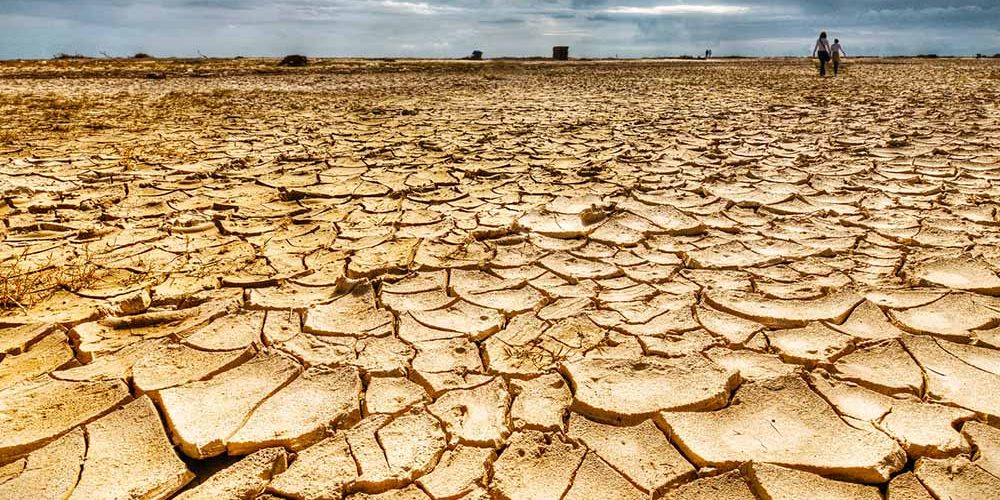 El mapa más completo de la sequía: qué departamentos son los más afectados en cada provincia