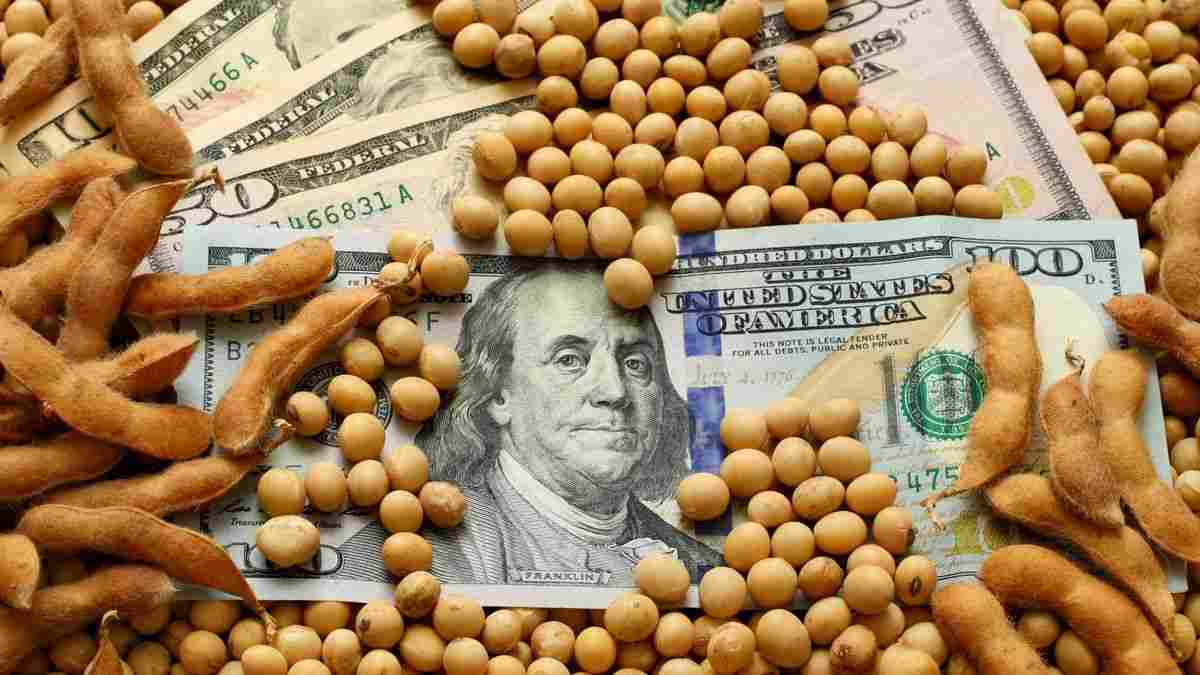 Jornada de día lunes con subas por maíz y soja disponible