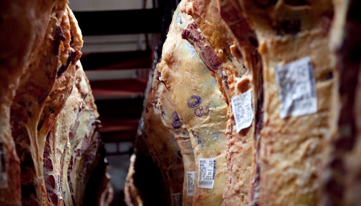 Economía anunciaría medidas para contener los precios de la carne