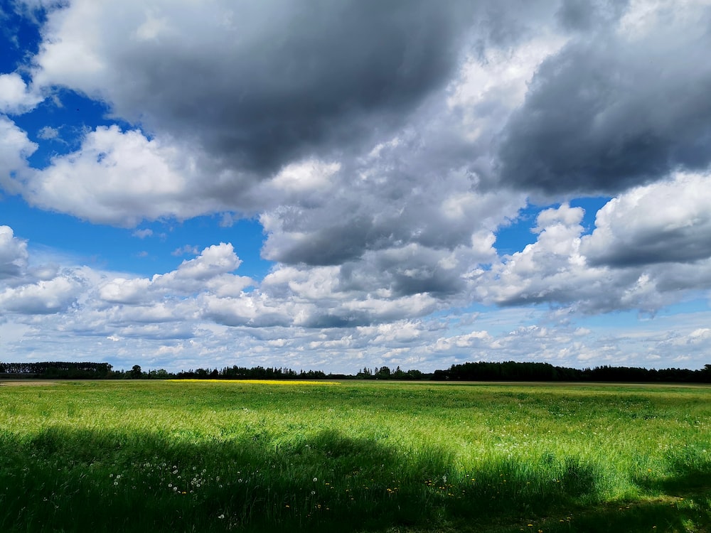 La Niña continúa, pero a partir de marzo inicia una etapa neutralidad: cómo impactan las lluvias