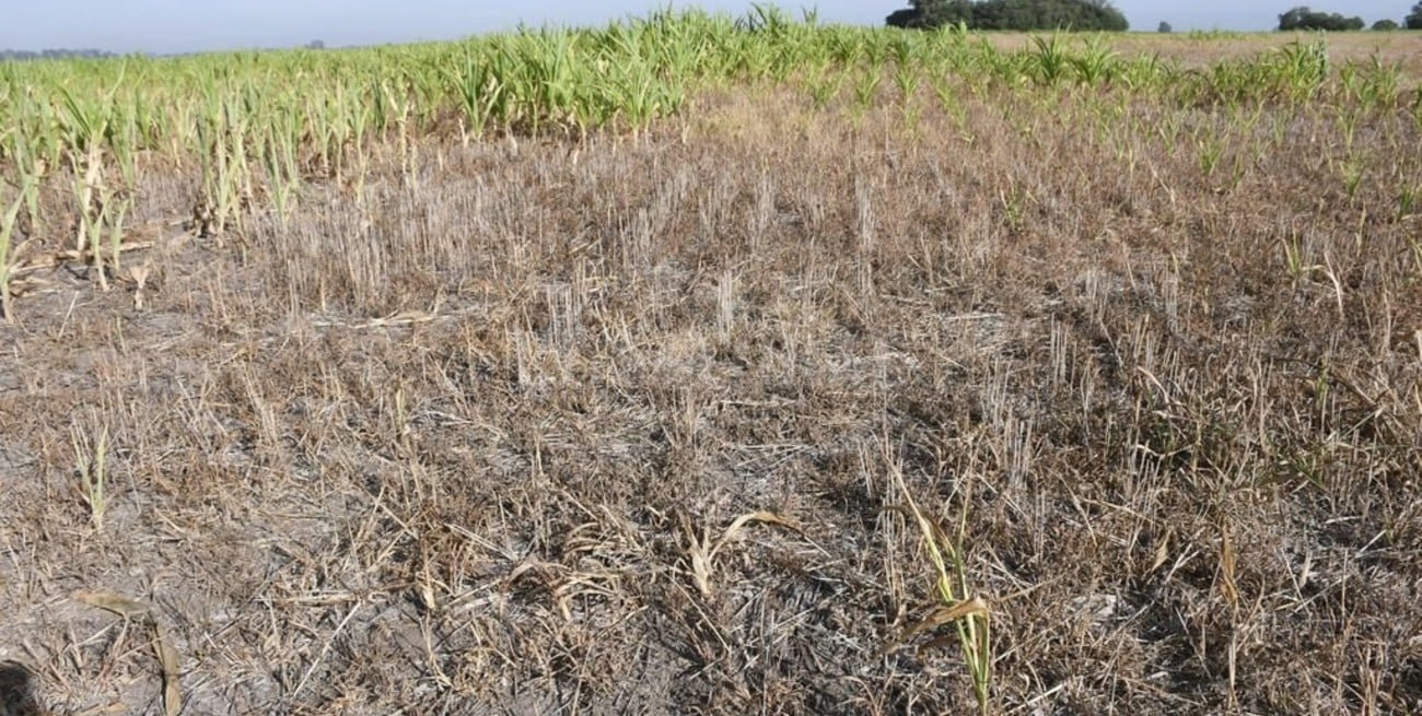 El campo evalúa su situación actual como la peor desde 2018