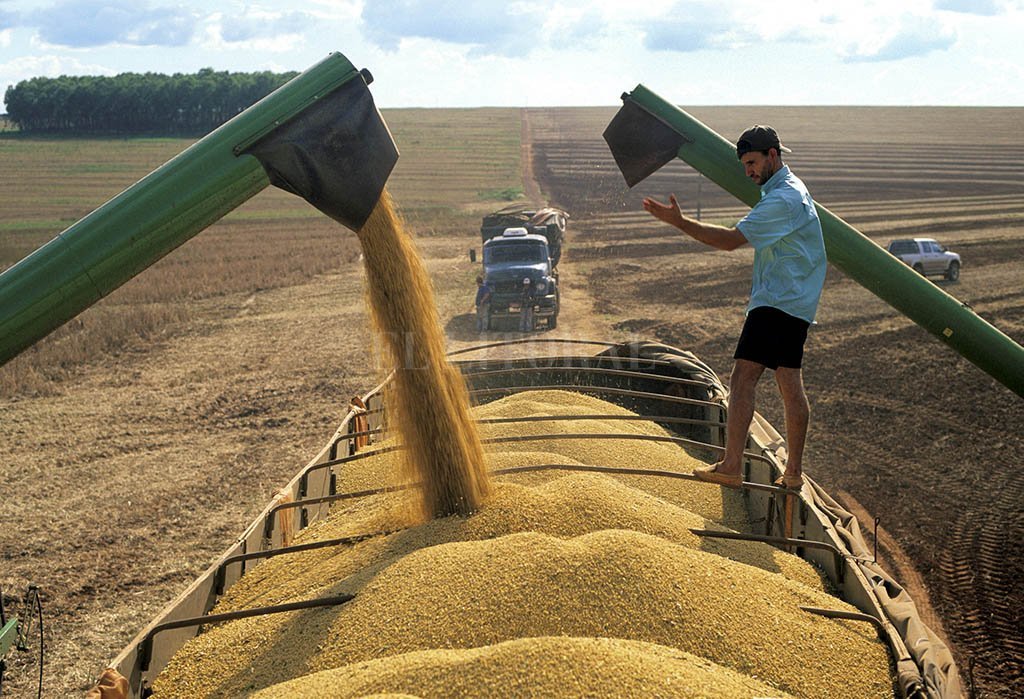 Dólares y sequía: baja expectativa de liquidación de divisas de los agroexportadores para marzo