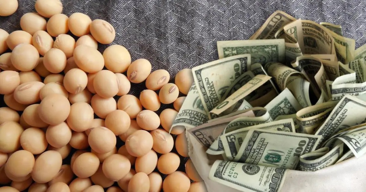 No hubo liquidaciones por el dólar agro y el Banco Central debió vender USD 100 millones en el mercado