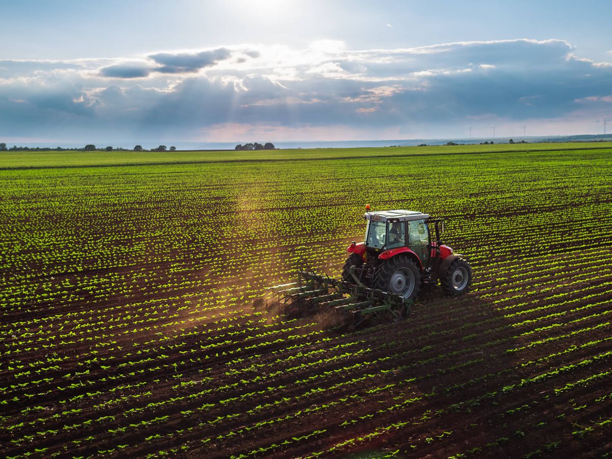 Serán automáticos los beneficios para los productores afectados por la sequía