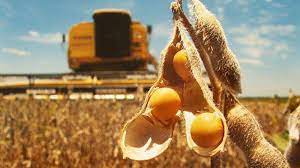 Este miércoles Economía  anunciará los pormenores del nuevo dólar agro