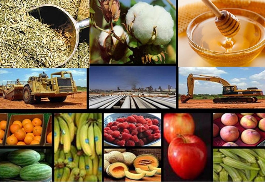 Las 21 producciones regionales que primero se incorporarán al “dólar agro”