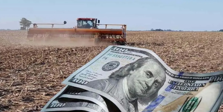 Cómo serán el dólar soja III y el dólar ‘agro’ que se anunciarán el miércoles