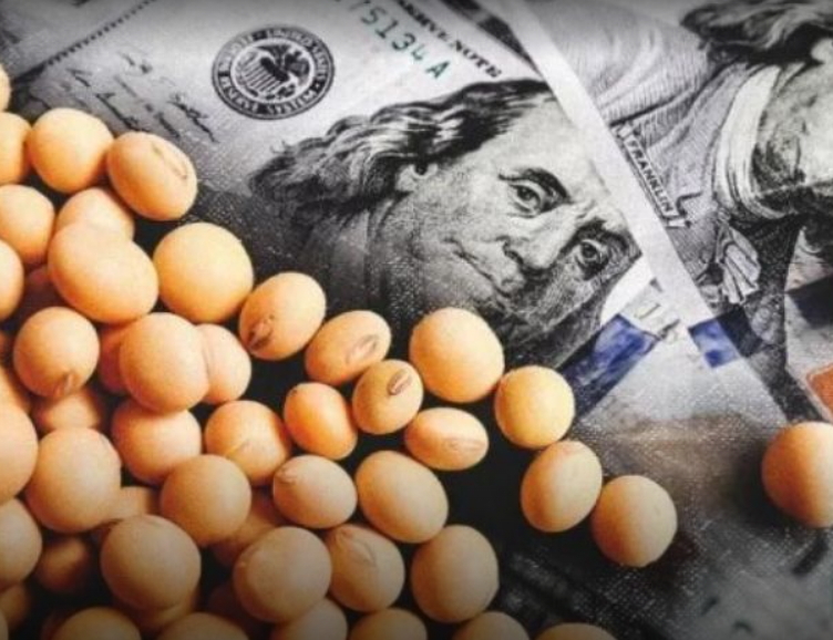 Por el dólar soja 3, se llevan liquidados poco más de 2.000 millones de dólares