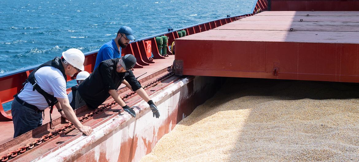 En lo que va del año la liquidación por agroexportaciones cayó a menos de la mitad