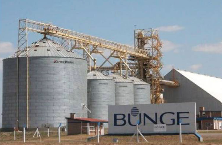 ¿Cómo impactará en Argentina? Bunge compró Viterra y se potencia como otro gigante global del agro