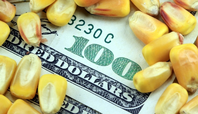 El mercado mueve piezas ante un posible dólar maíz