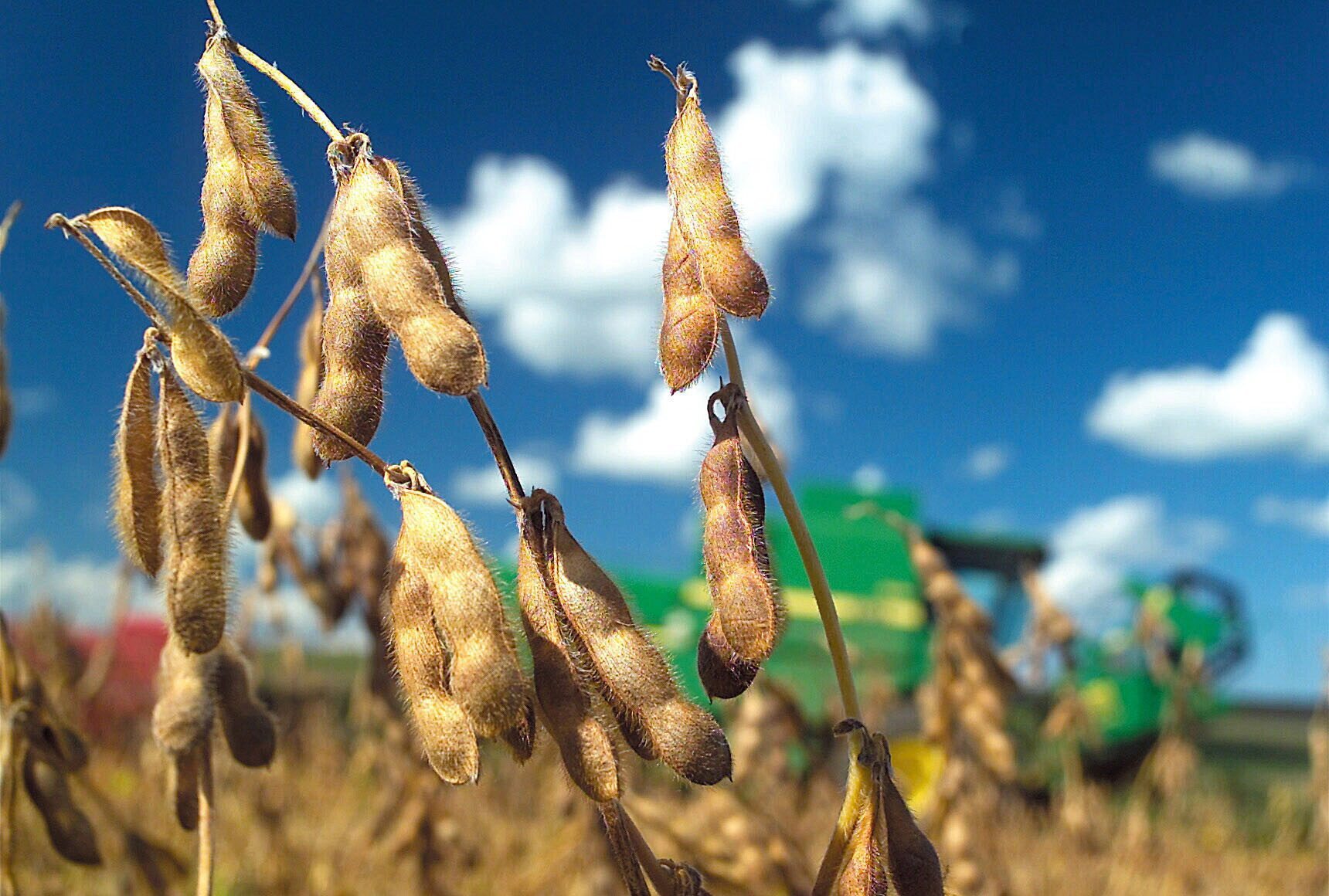 Agricultura estimó que la inversión para la campaña agrícola 2023/24 ascenderá a US$ 24.230 millones