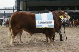 Limousin dirá presente en La Rural de Palermo