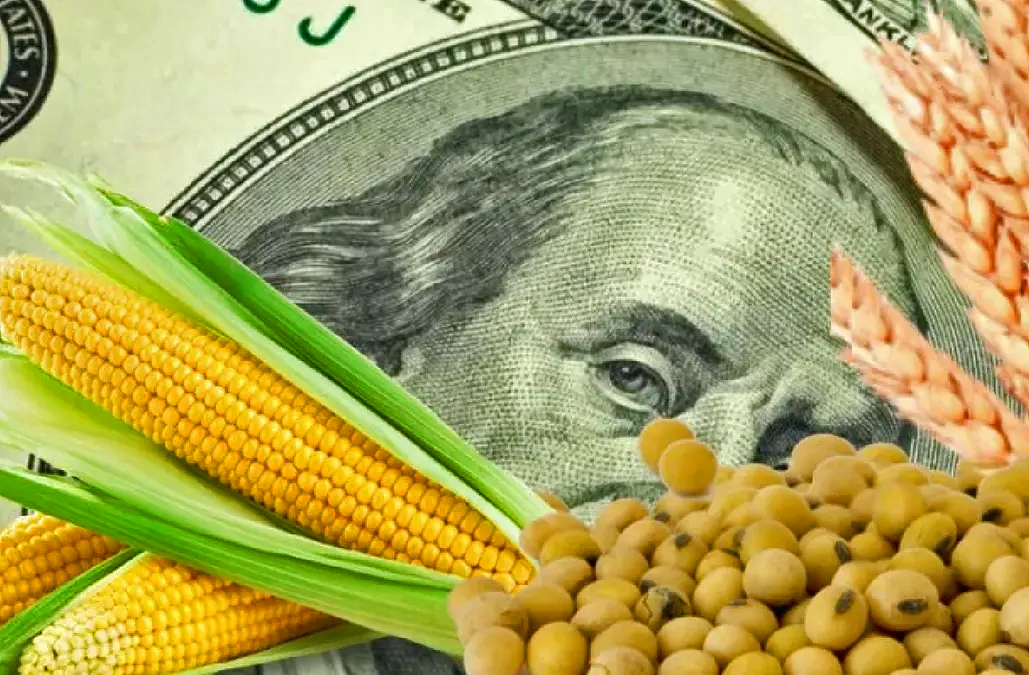 Ya es oficial: el maíz y la cebada cervecera se suman al “dólar agro”
