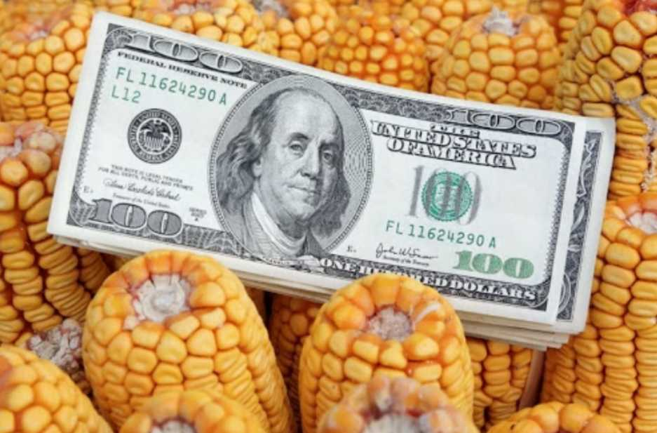 Las ventas de granos con el nuevo dólar agro ya superaron las expectativas del Gobierno