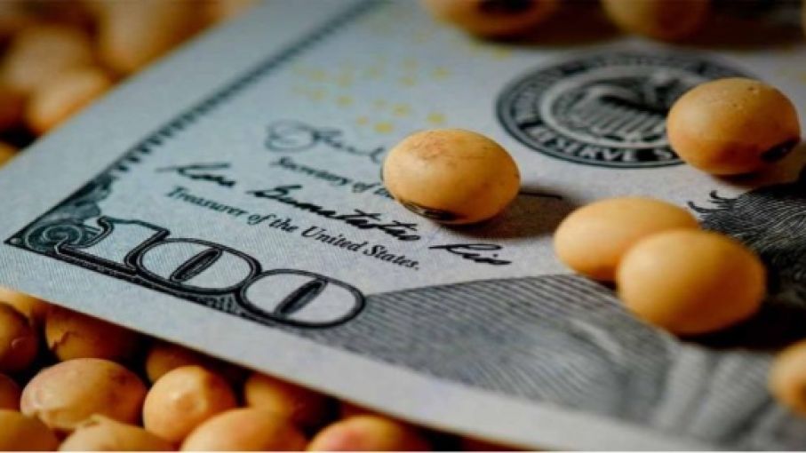 Luego de la devaluación, se terminó el ‘dólar agro’ y no habrá uno nuevo