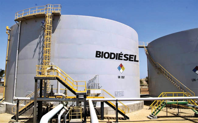 Paro total de la industria elaboradora de biodiésel