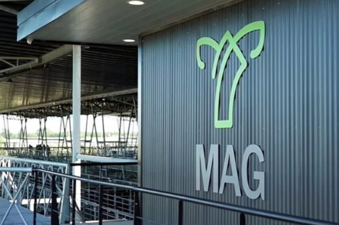 El Gobierno se reunió con casas consignatarias del Mercado de Cañuelas por el precio de la carne