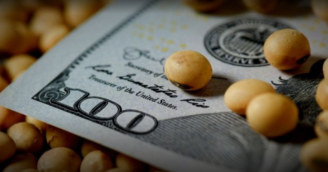 Los agroexportadores se despegan del nuevo dólar soja