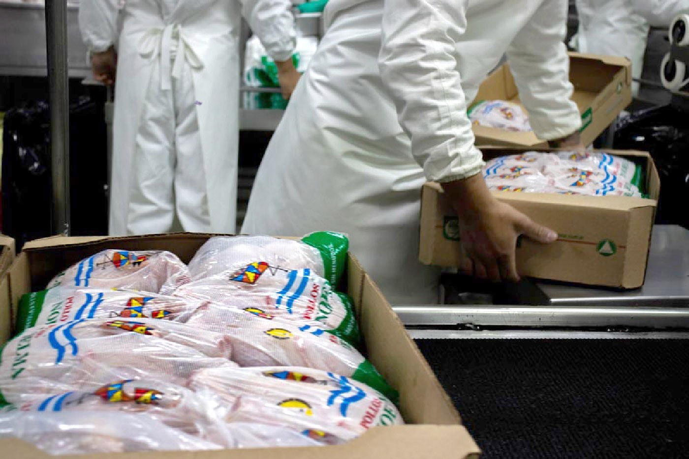 Exportaciones: la cadena aviar recuperó otro mercado estratégico